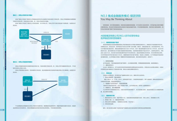 中国民生银行手册画册年报十五