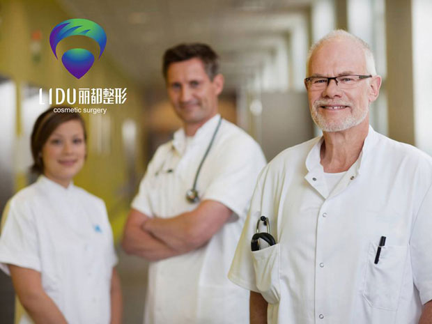 丽都整形标识VI六