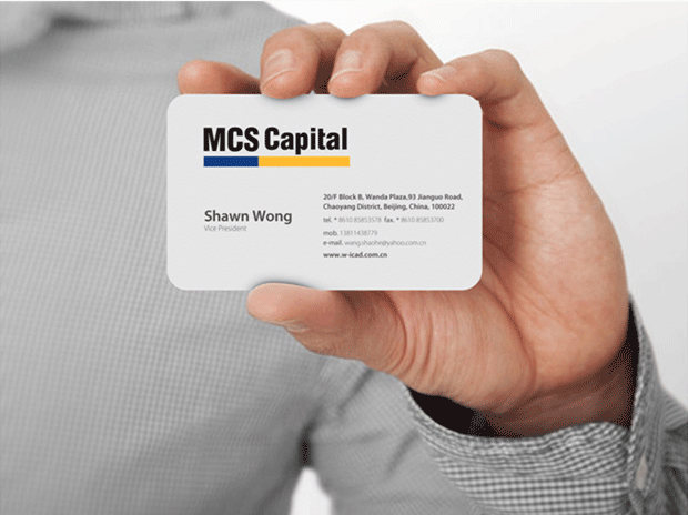 MCS标识VI标识VI二