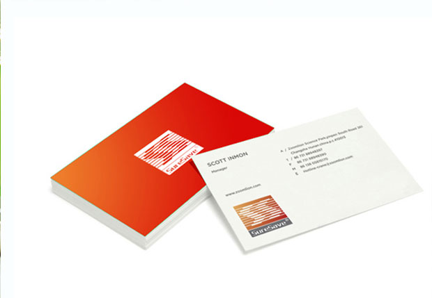 SOUL众志和达标识VI四