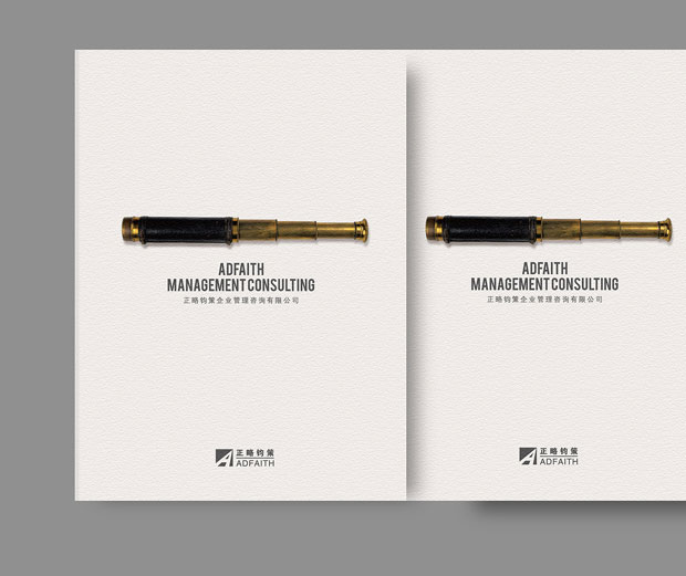 正略均策画册年报六