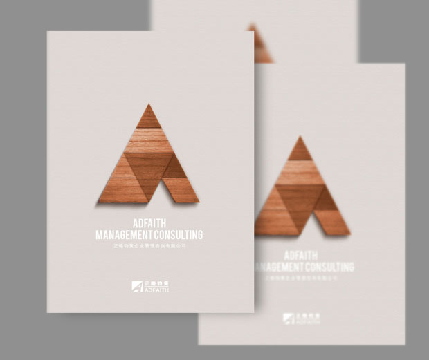 正略均策画册年报七