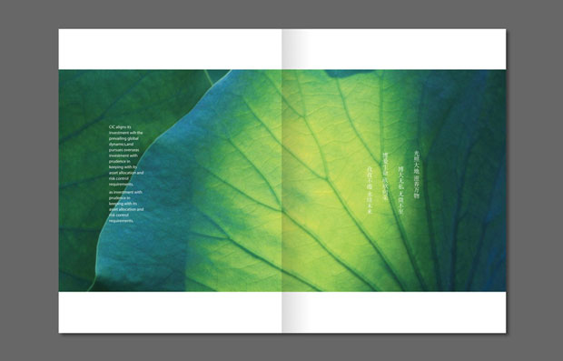 中国投资画册年报六