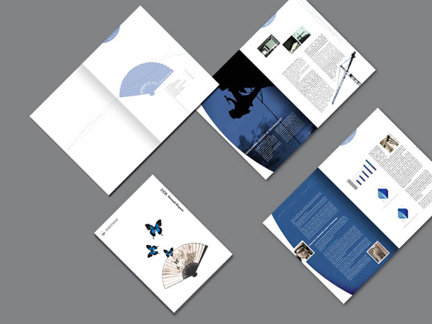 中国石化画册年报五