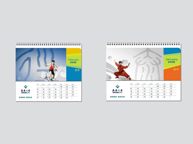 泰康保险画册年报一