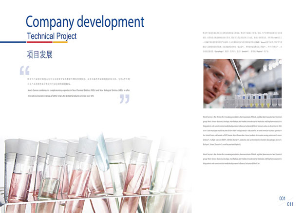 默克雪兰诺标识VI十二