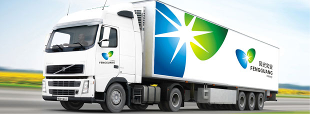 风光实业标识VI五